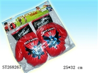 ST268267 - BOXING SET