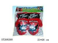 ST268268 - BOXING SET