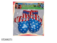 ST268271 - BOXING SET