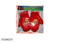 ST268275 - BOXING SET