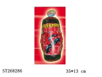 ST268286 - BOXING SET