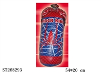 ST268293 - BOXING SET