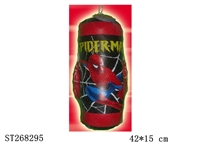 ST268295 - BOXING SET