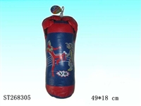 ST268305 - BOXING SET