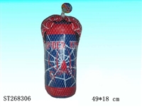 ST268306 - BOXING SET