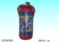 ST268308 - BOXING SET