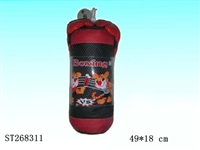 ST268311 - BOXING SET