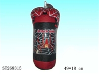 ST268315 - BOXING SET