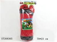 ST268365 - BOXING SET