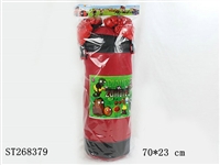 ST268379 - BOXING SET