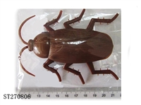 ST270806 - cockroach