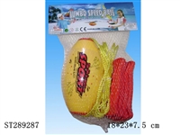 ST289287 - FLY BALL WITH LINE