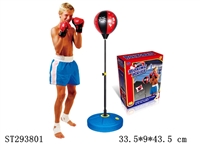 ST293801 - BOXING SERIES