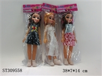 ST309558 - 