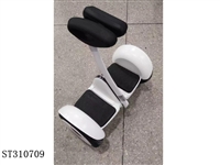 ST310709 - 