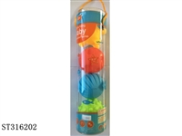ST316202 - 